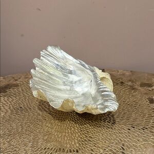 Decorative Shell Dish